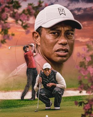 Image post by @stevewilsoncreative on Instagram