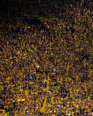 Image post by @blackyellow on Instagram