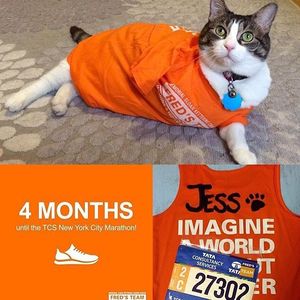 Image post by @nycmarathon on Instagram