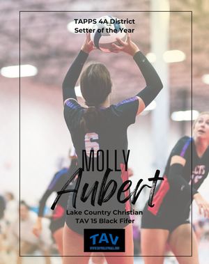 Image post by @tavvolleyball on Instagram