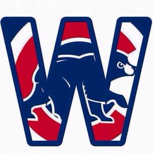 Image post by @chicagocubsnation on Instagram