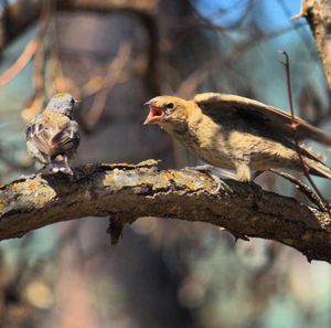 Image post by @nationalparkservice on Instagram