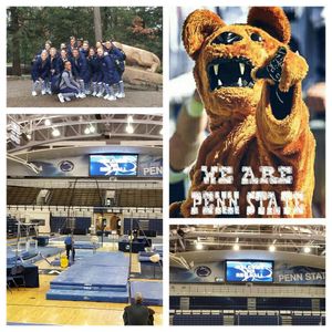 Image post by @pennstatewgym on Instagram