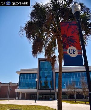 Image post by @gatorsgym on Instagram