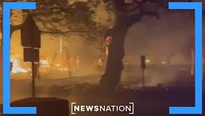 Video post by @newsnation on YouTube