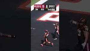 Video post by @cfbonfox on YouTube