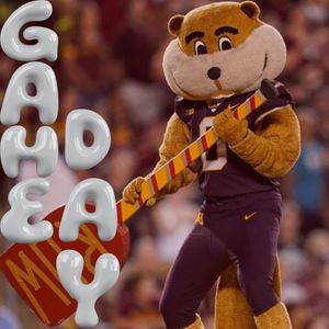 Image post by @barstoolgophers on Instagram