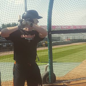 Image post by @gohammerheads on Instagram