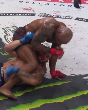Image post by @bellatormma on Instagram