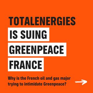 Image post by @greenpeace on Instagram