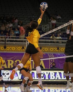 Image post by @llascreative on Instagram