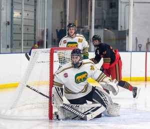 Image post by @chicagocougarshockey on Instagram