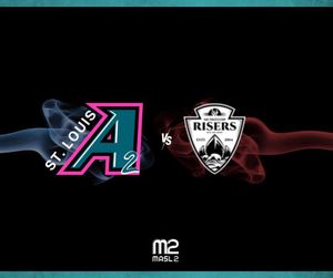 Image post by @stlouisambush on Instagram