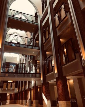 Image post by @vanderbiltu on Instagram