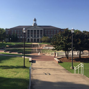 Image post by @tsutigers on Instagram