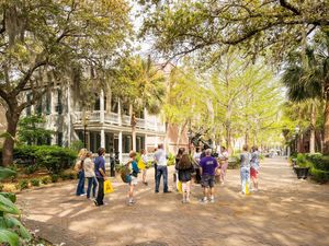 Image post by @collegeofcharleston on Instagram