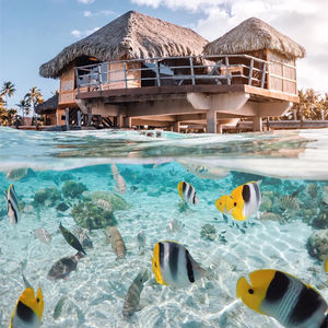 Image post by @united on Instagram