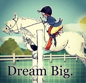 Image post by @snaffle_it on Instagram
