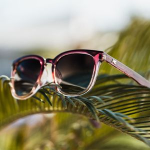 Image post by @knockaround on Instagram