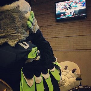 Image post by @blitztheseahawk on Instagram