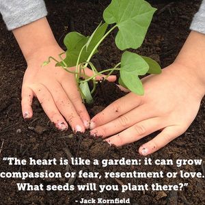 Image post by @kidsgardening on Instagram