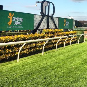Image post by @australianturfclub on Instagram