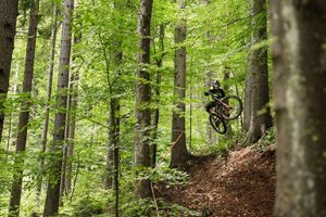 Image post by @foxmtb on Instagram