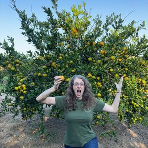 Image post by @annathearcher on Instagram