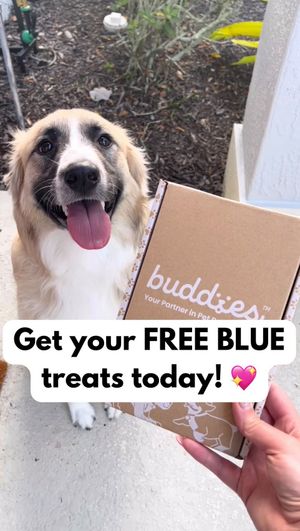 Video post by @bluebuffalo on Instagram