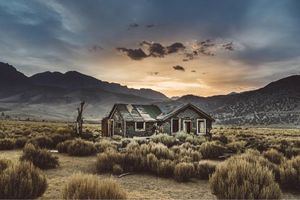 Image post by @sonyalpha on Instagram