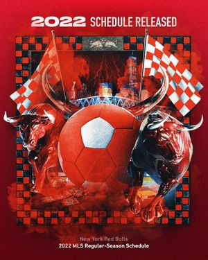 Image post by @newyorkredbulls on Instagram