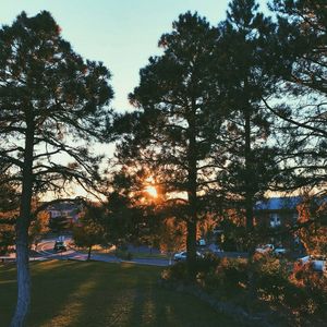 Image post by @nauflagstaff on Instagram