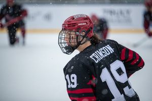 Image post by @HarvardWHockey on Twitter