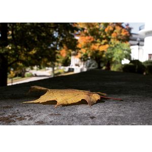 Image post by @denisonu on Instagram