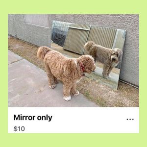 Image post by @nextdoor on Instagram