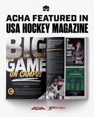 Image post by @hockeyhousepod on Instagram