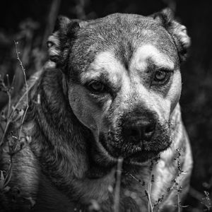 Image post by @jessebrunerphoto on Instagram