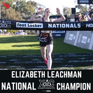Image post by @dyestat on Instagram