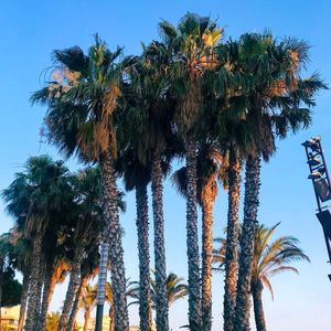 Image post by @tanya_zavadich on Instagram