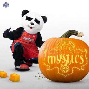 Image post by @WashMystics on Twitter