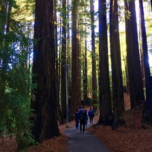 Image post by @ucsc on Instagram