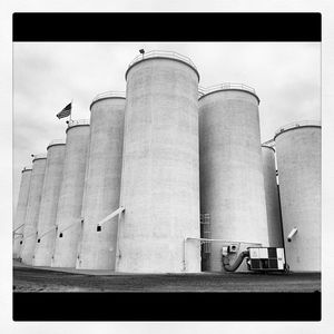Image post by @lundbergfarms on Instagram