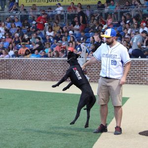 Image post by @cplbaseball on Instagram