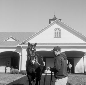 Image post by @spendthriftfarm on Instagram