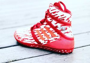 Image post by @adidaswrestling on Instagram