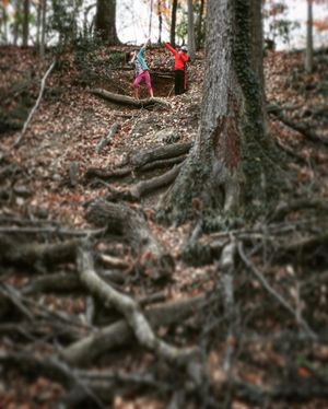Image post by @zachkleinwsb on Instagram