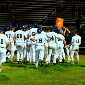 Image post by @burlington_bees on Instagram