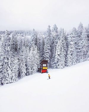 Image post by @nauflagstaff on Instagram