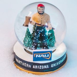 Image post by @nauflagstaff on Instagram
