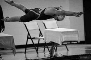 Image post by @arenausa on Instagram